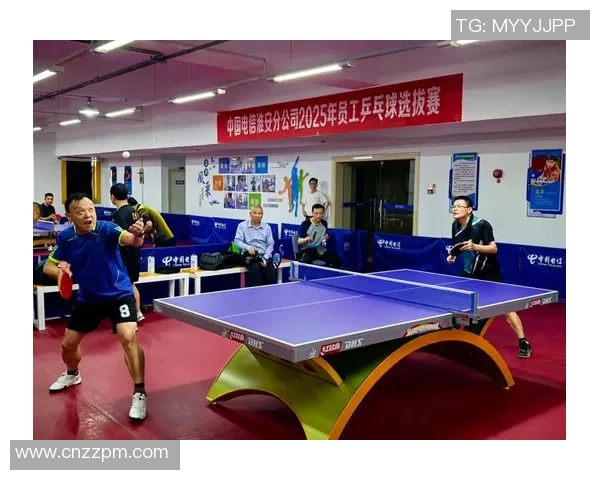 乒乓球专题：深入探讨杭州乒乓球队默契配合与战术协作的成功之道