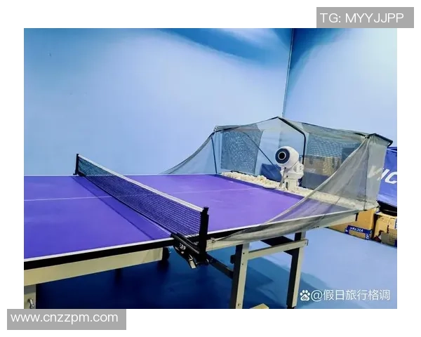 王强独家分享乒乓球技巧与心得助你提升球技的秘诀与经验