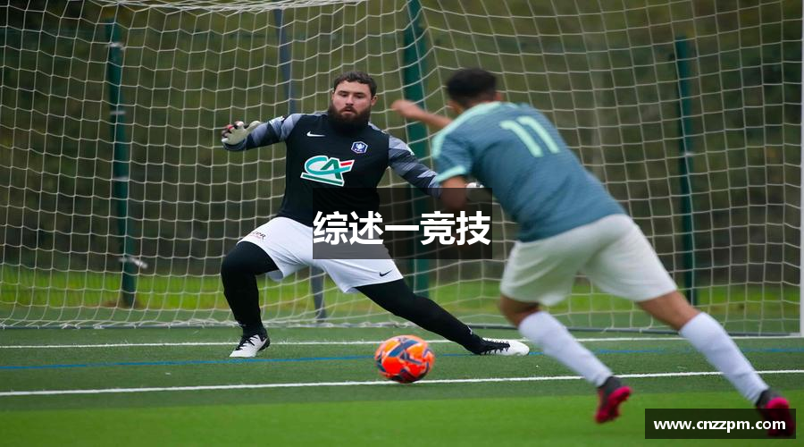 综述一竞技